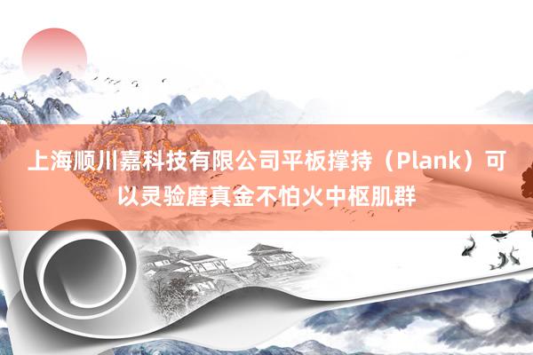 上海顺川嘉科技有限公司平板撑持（Plank）可以灵验磨真金不怕火中枢肌群